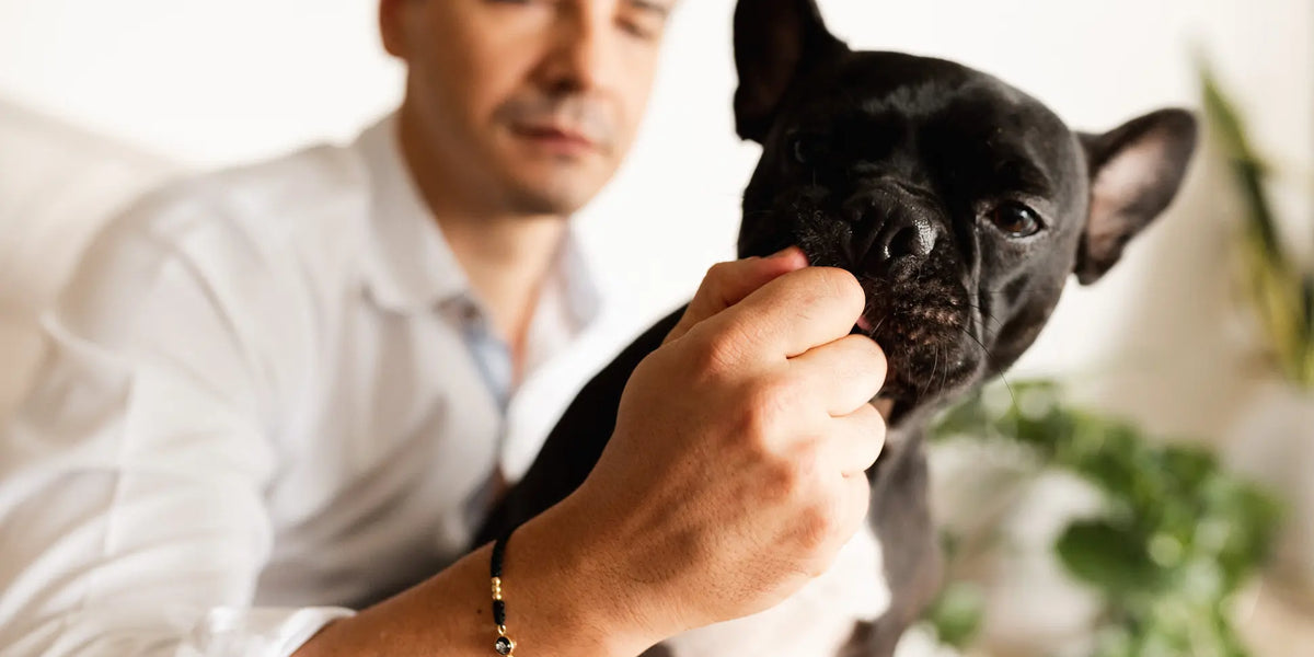Joyas con huellas personalizadas de seres amados y mascotas: símbolo vivo de amor y gratitud