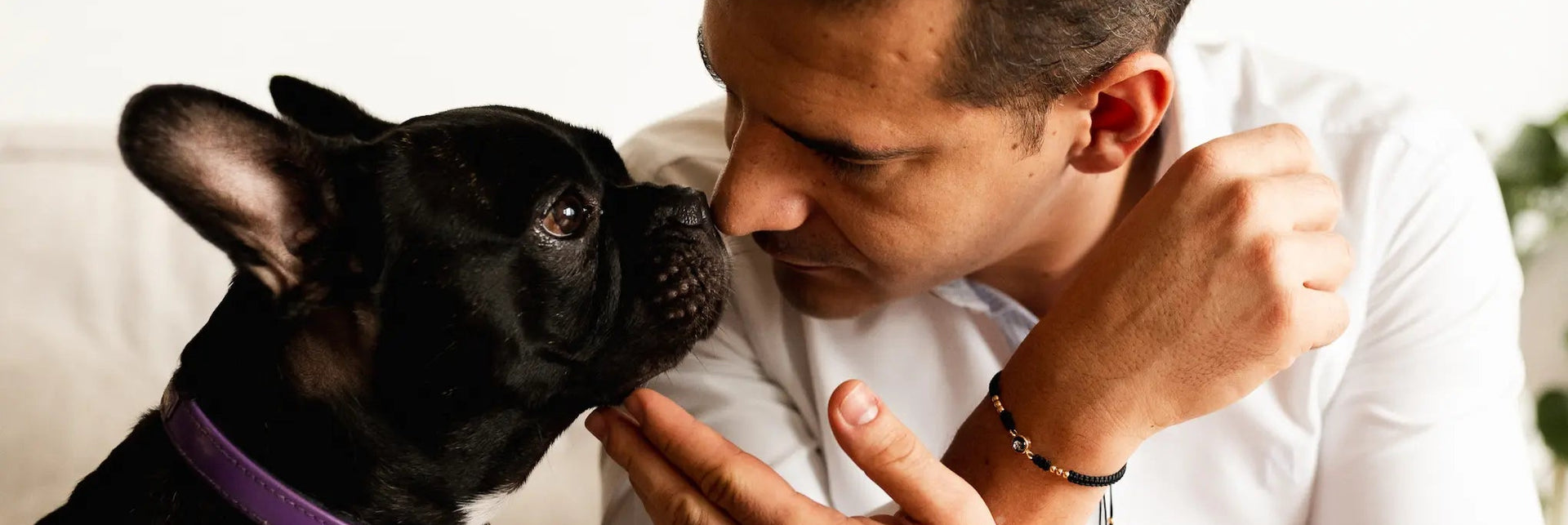 Joyas de Eternidad Mascotas