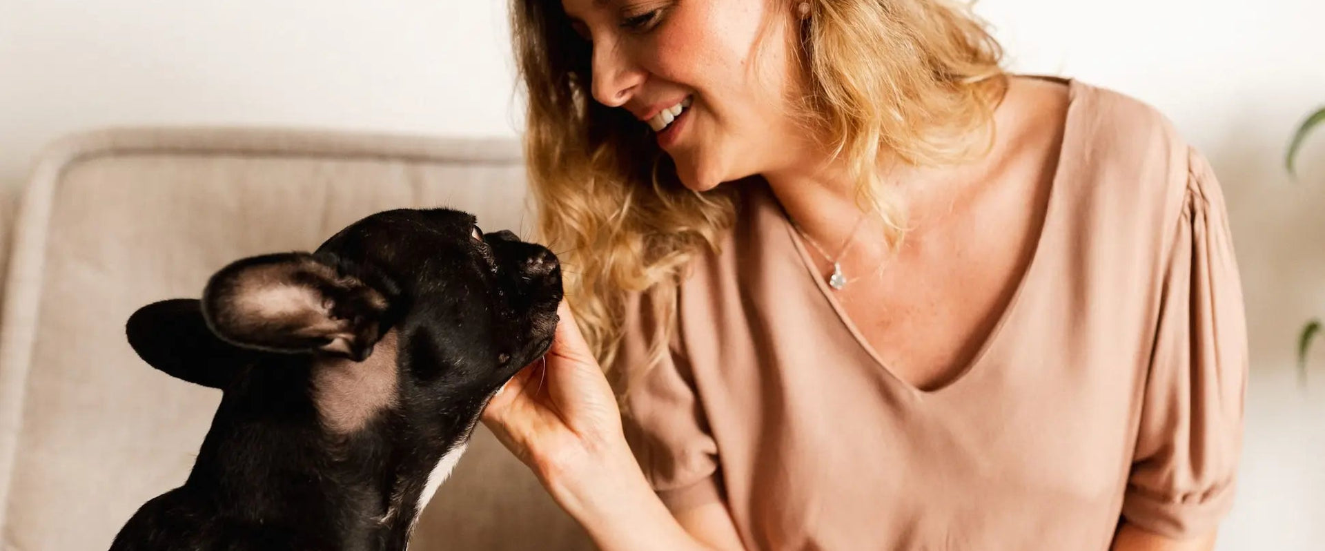 Joyas de eternidad mascotas