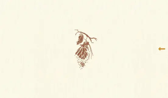 files/Laura_Teran.webp