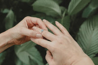 Eternidad anillo Semilla